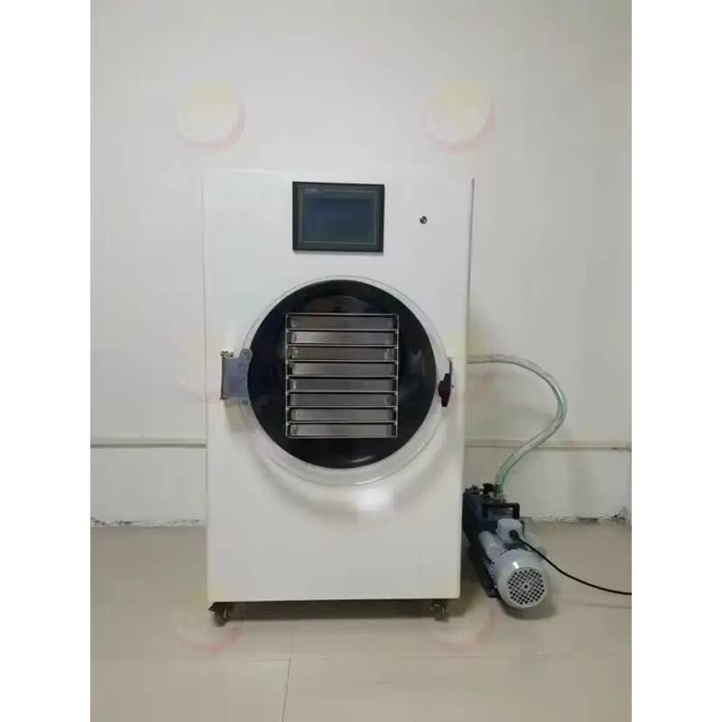 Vacuum Chamber Small - Dondurarak Kurutma Makinesi Küçük Vakumlu Laboratuvar